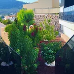 Elmas Kalkan